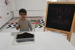 AKILLI BIDIKLAR Creatures in the soil - Toprakta ki canlılar?