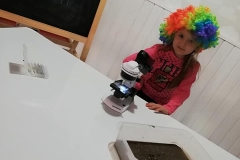 50766639_2243953509258541_2665034710475866112_n
