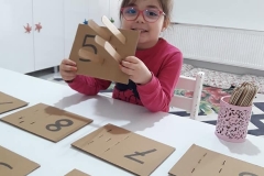 53355767_2283276715326220_7713958844996517888_n
