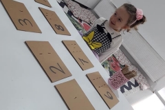 55916184_2283276785326213_1264123383335878656_n
