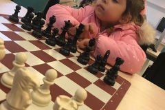 51103721_2246224035698155_4730828793470517248_n