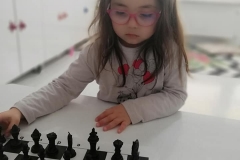 58842447_2310167009303857_8107848126754193408_n